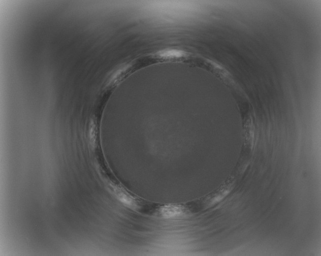 X0000068300762200604241337