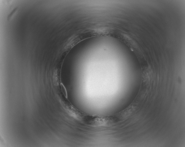 X0000068300764200604241337