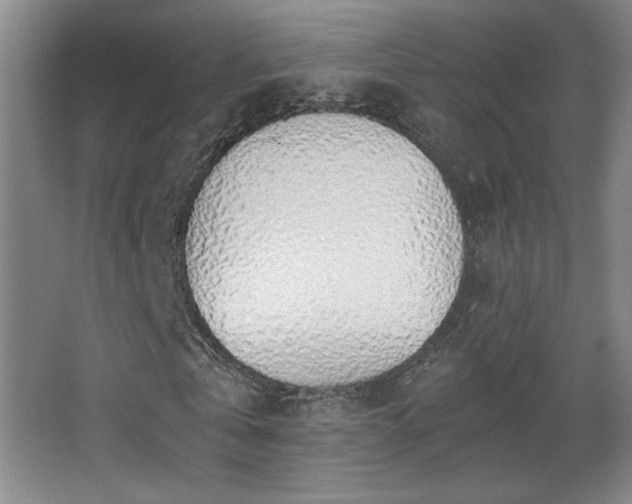 X0000068300769200604241336