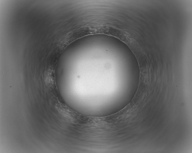 X0000068300770200604241336
