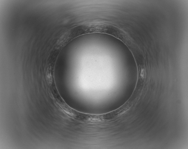 X0000068300771200604241336