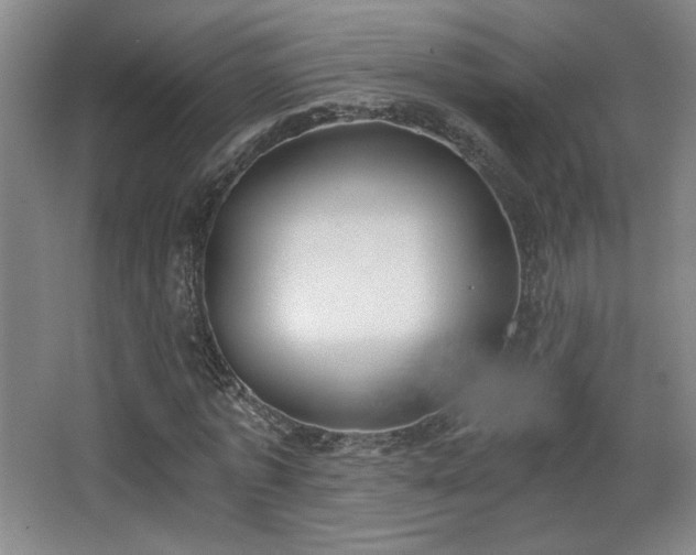 X0000068300773200604241336