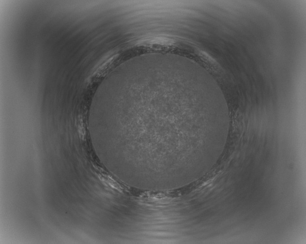X0000068300774200604241336
