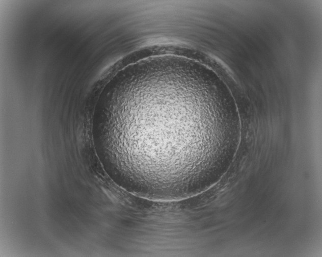 X0000068300775200604241336