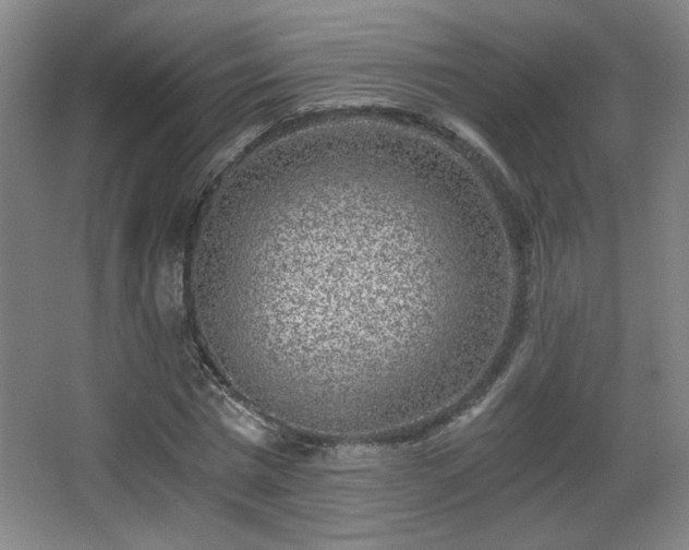 X0000068300777200604241336