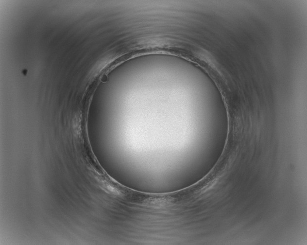 X0000068300778200604241336