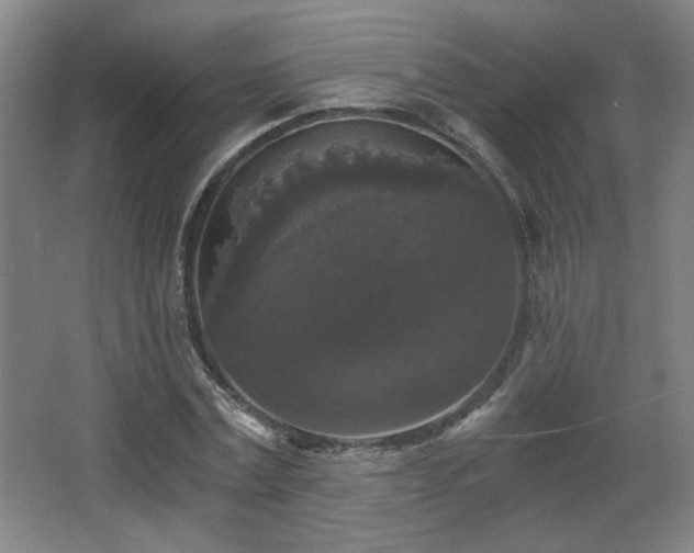 X0000068300779200604241336