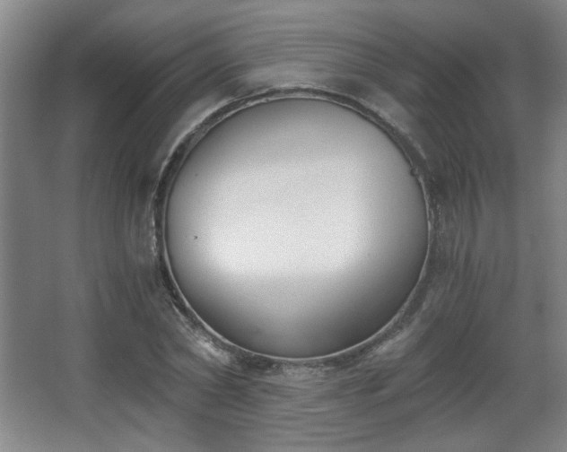 X0000068300782200604241336