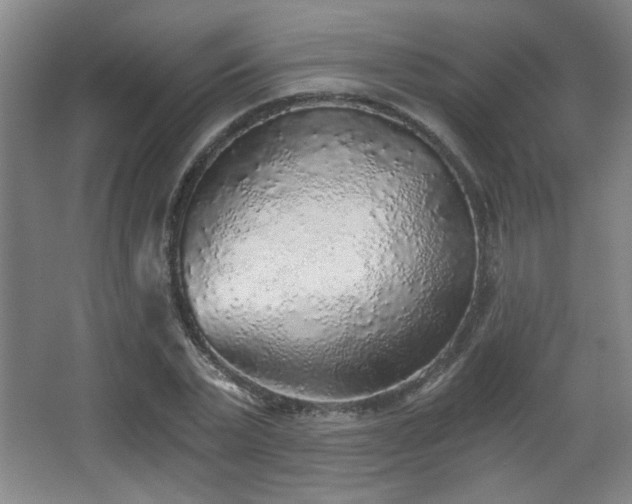 X0000068300783200604241336