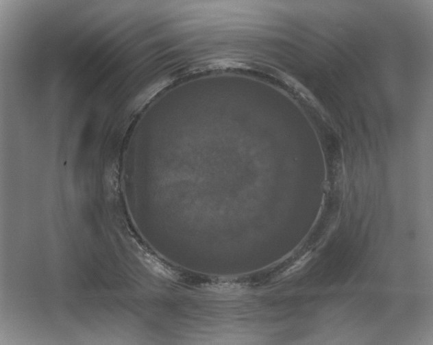 X0000068300785200604241336