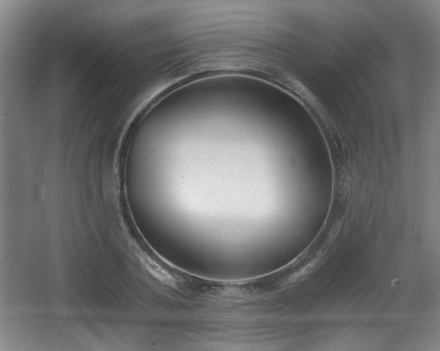X0000068300787200604241336