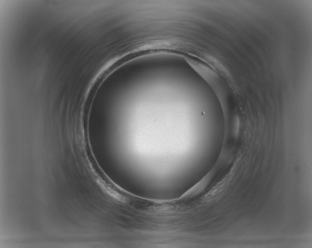 X0000068300792200604241336