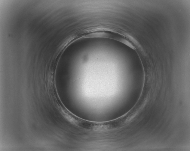 X0000068300793200604241336
