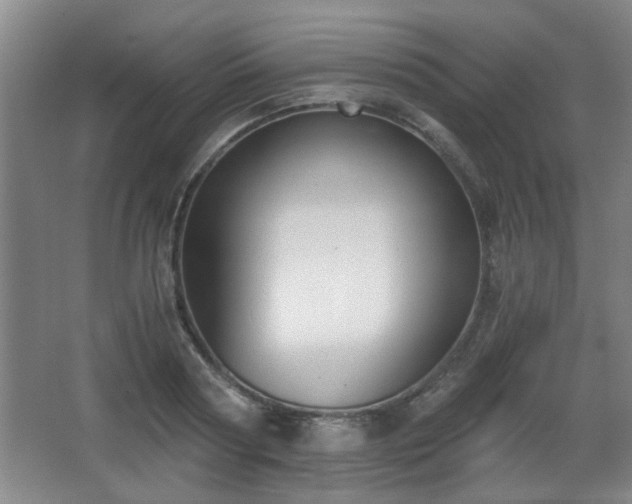 X0000068300794200604241336