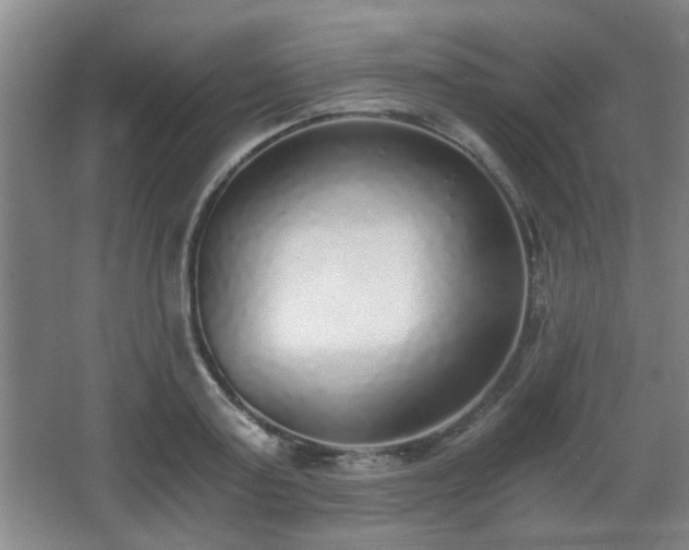X0000068300795200604241336