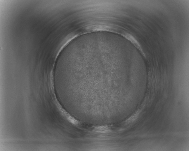 X0000068300798200604241336