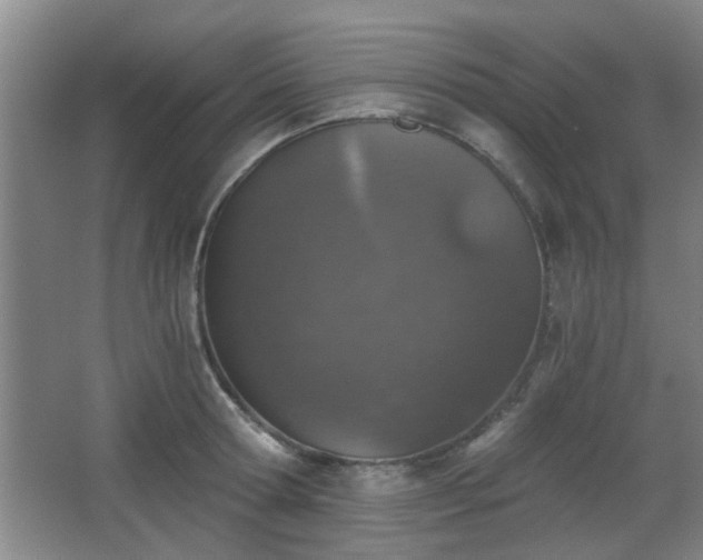 X0000068300802200604241335