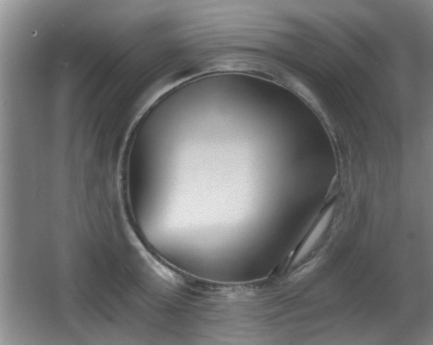 X0000068300803200604241335