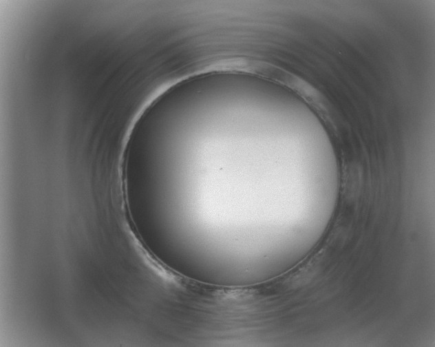 X0000068300808200604241335