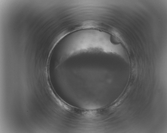 X0000068300810200604241335