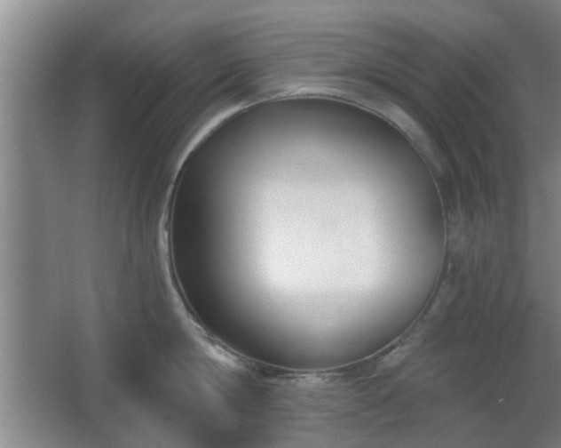 X0000068300814200604241335