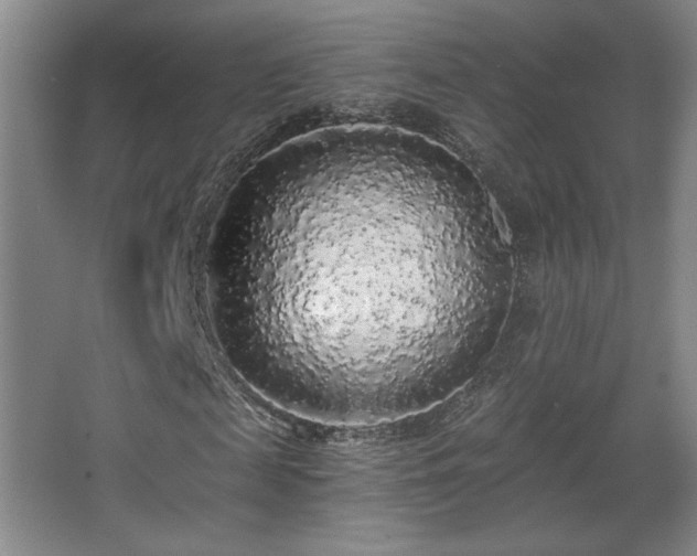 X0000068300817200604241334