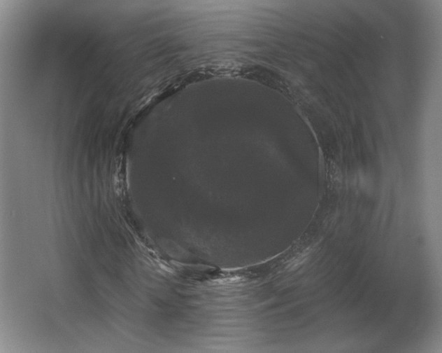 X0000068300818200604241334