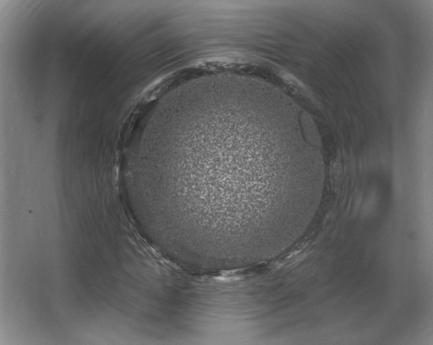 X0000068300822200604241335