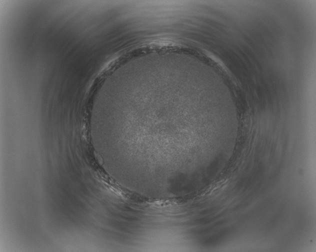 X0000068300823200604241335