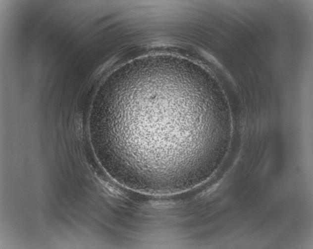 X0000068300825200604241335