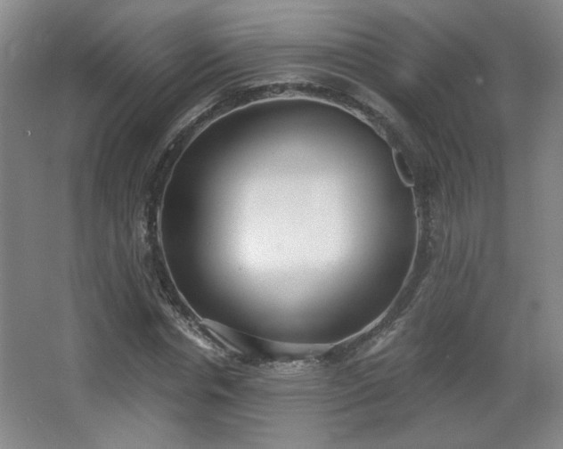 X0000068300826200604241335
