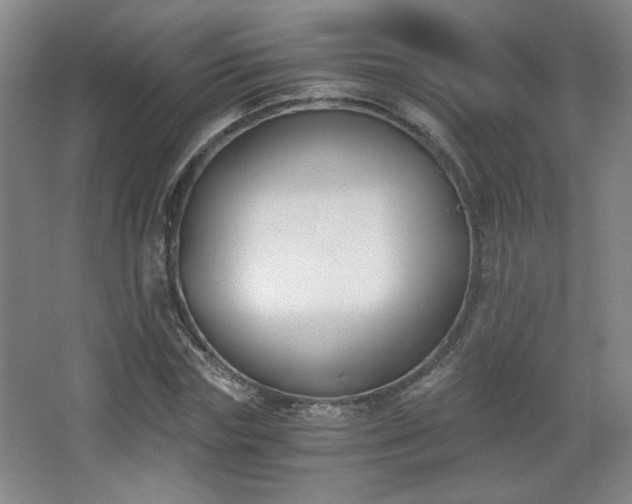 X0000068300827200604241335