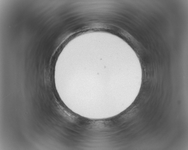X0000068300828200604241335