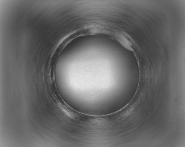 X0000068300830200604241335