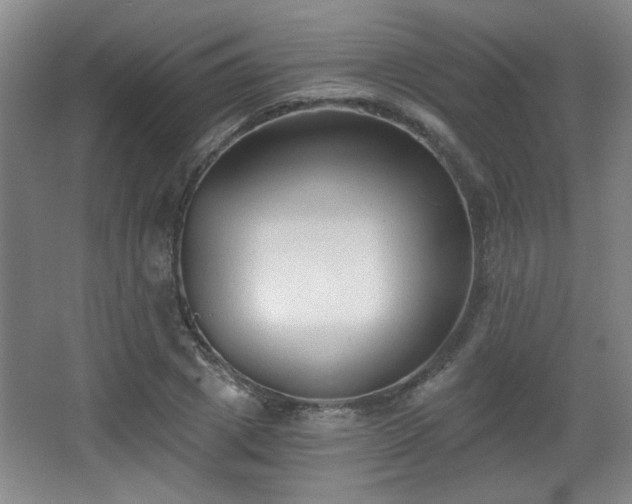 X0000068300833200604241335