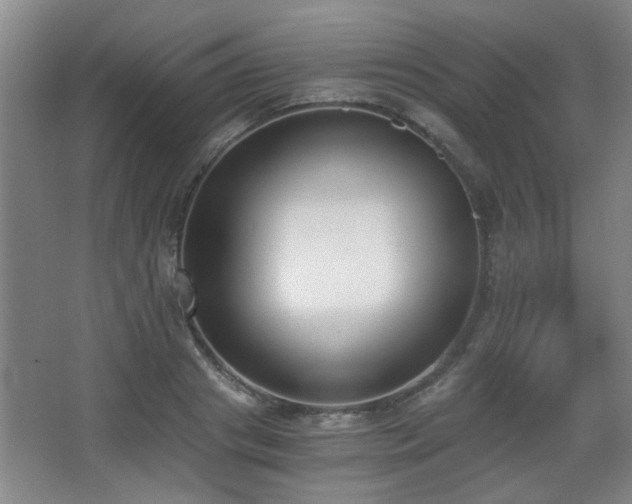 X0000068300841200604241335