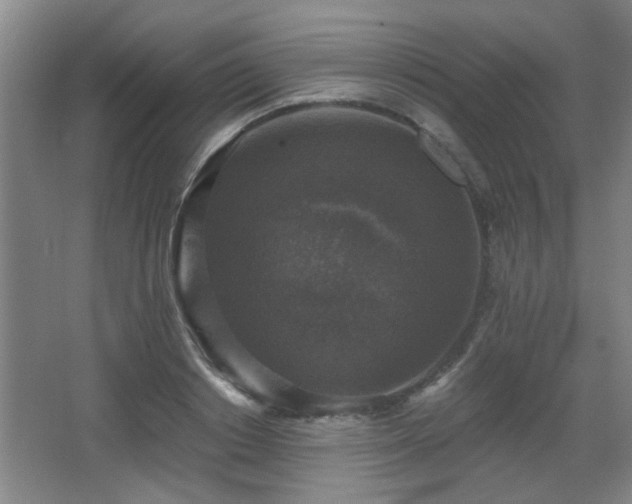 X0000068300842200604241335