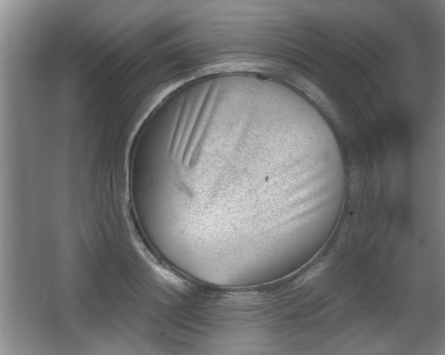 X0000068300844200604241335