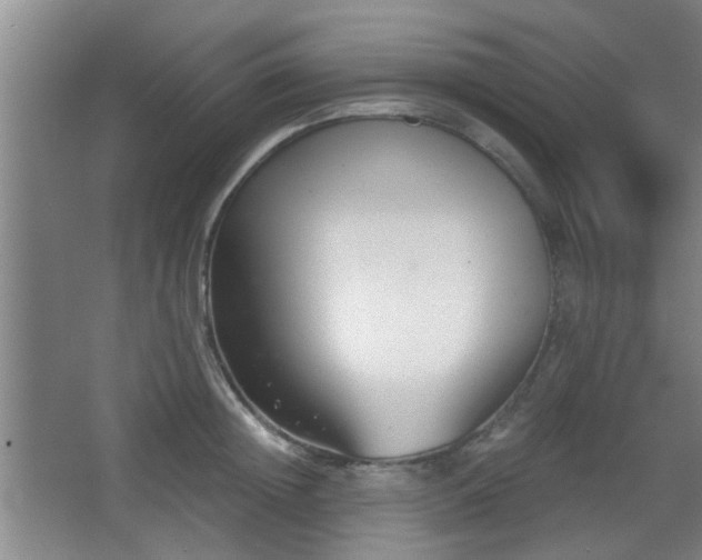 X0000068300852200604241335