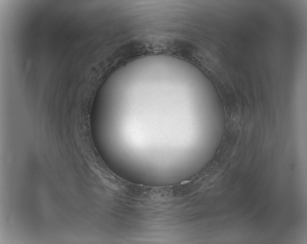 X0000068300865200604241334