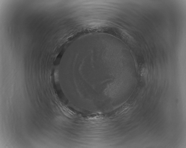 X0000068300868200604241334