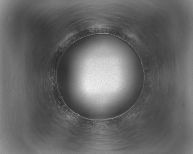 X0000068300870200604241334