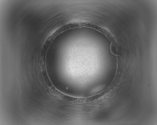 X0000068300871200604241334