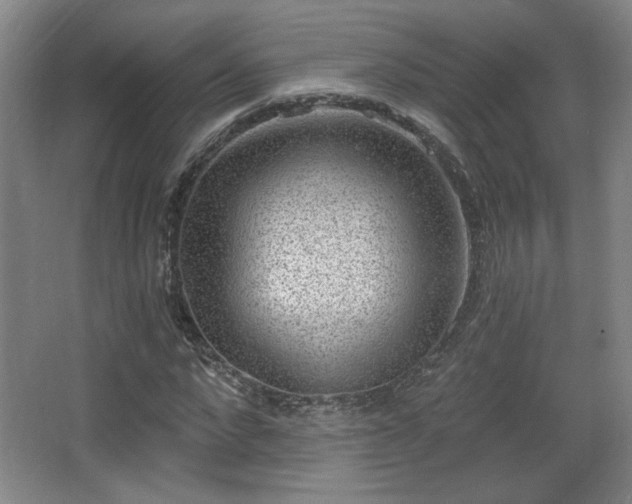 X0000068300872200604241334