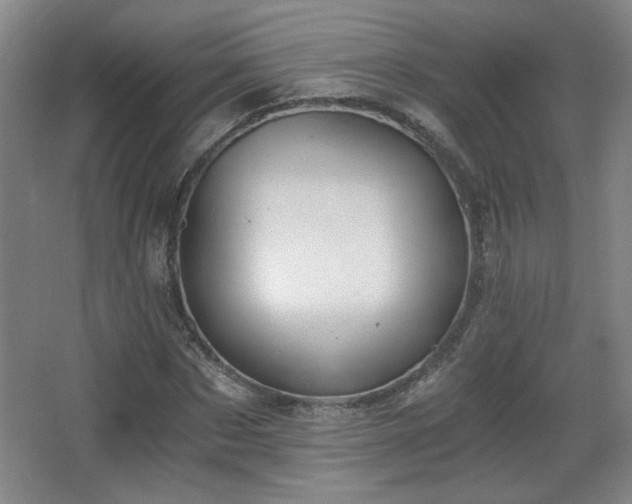 X0000068300873200604241334