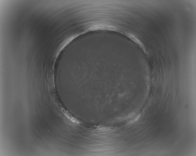 X0000068300877200604241334