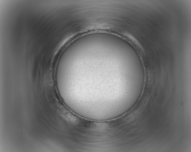X0000068300878200604241334