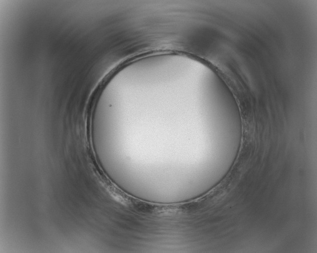 X0000068300886200604241334