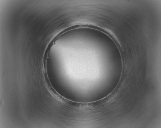 X0000068300887200604241334