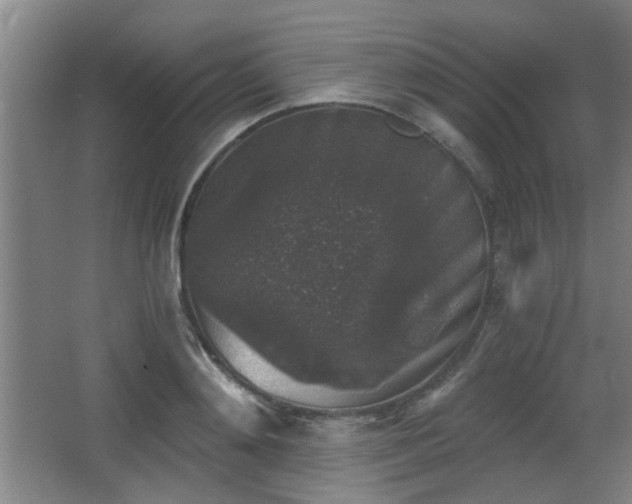 X0000068300892200604241334